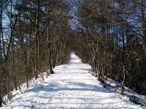 snow trail.jpg