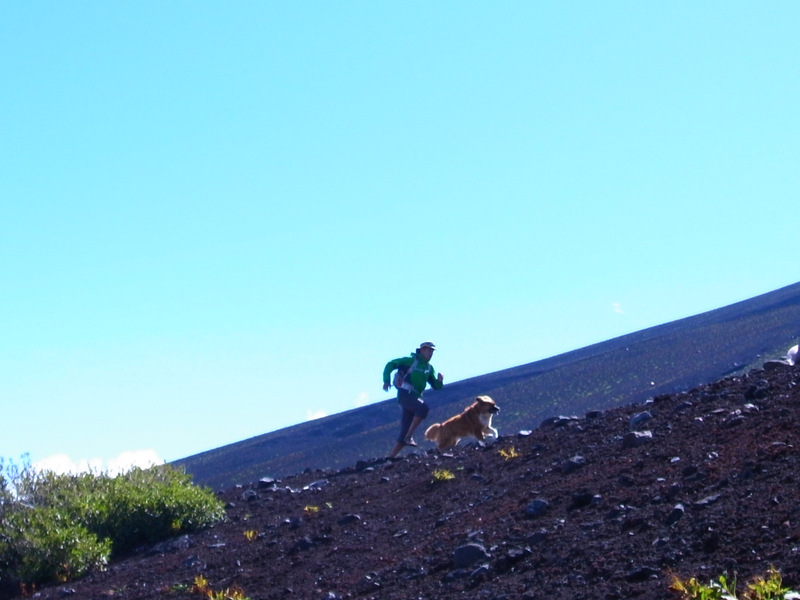 http://www.greatoutdoors.jp/greatlife/R0020270.JPG