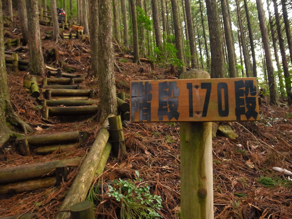 http://www.greatoutdoors.jp/greatlife/R0041292.jpg